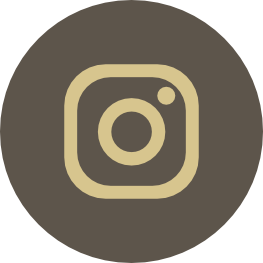 Icon Insta